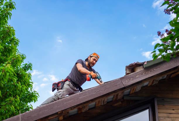 Best Roof Waterproofing  in Earlvle, IL