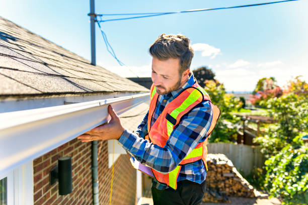 Best Sheet Metal Roofing  in Earlvle, IL