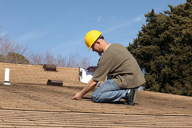Best Green or Eco-Friendly Roofing Solutions  in Earlvle, IL